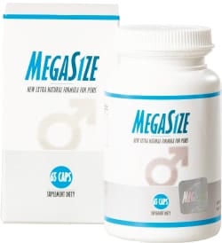 3. MegaSize